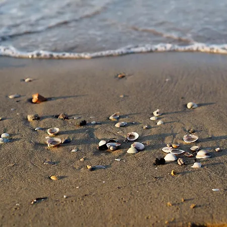 Enjoy Sun, Sand, And Shopping In Our Daire Bibione